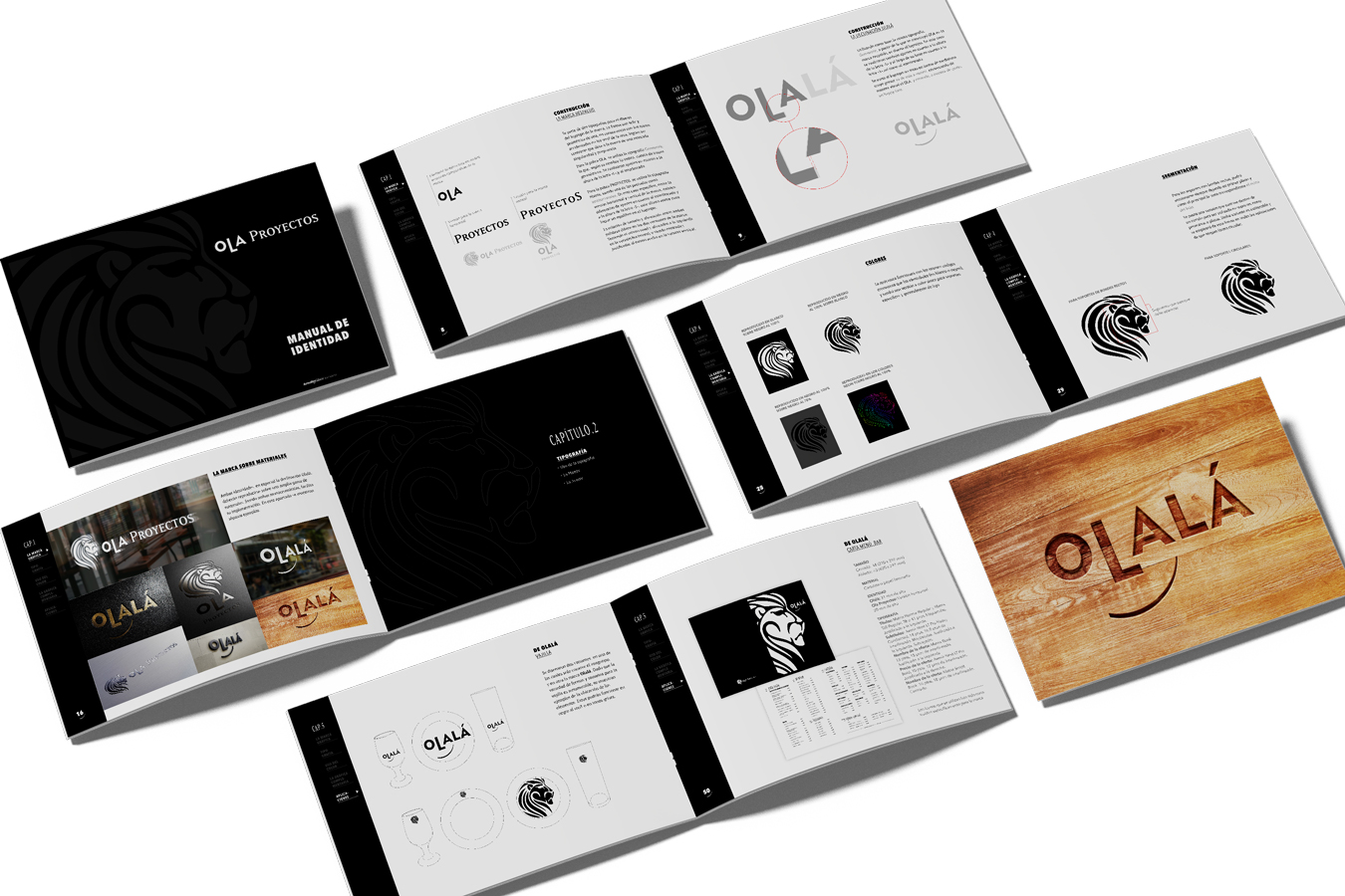 Ola Proyect_manual de marca