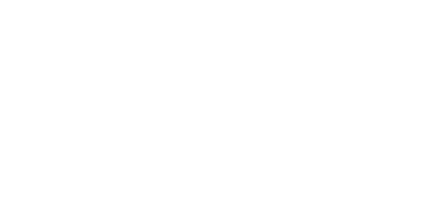 Dari Steyners. Diseñadora Gráfica. Logo blanco