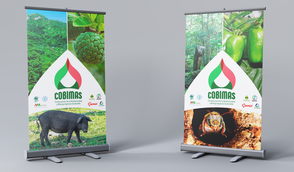 Diseño de marca COBIMAS_rollups